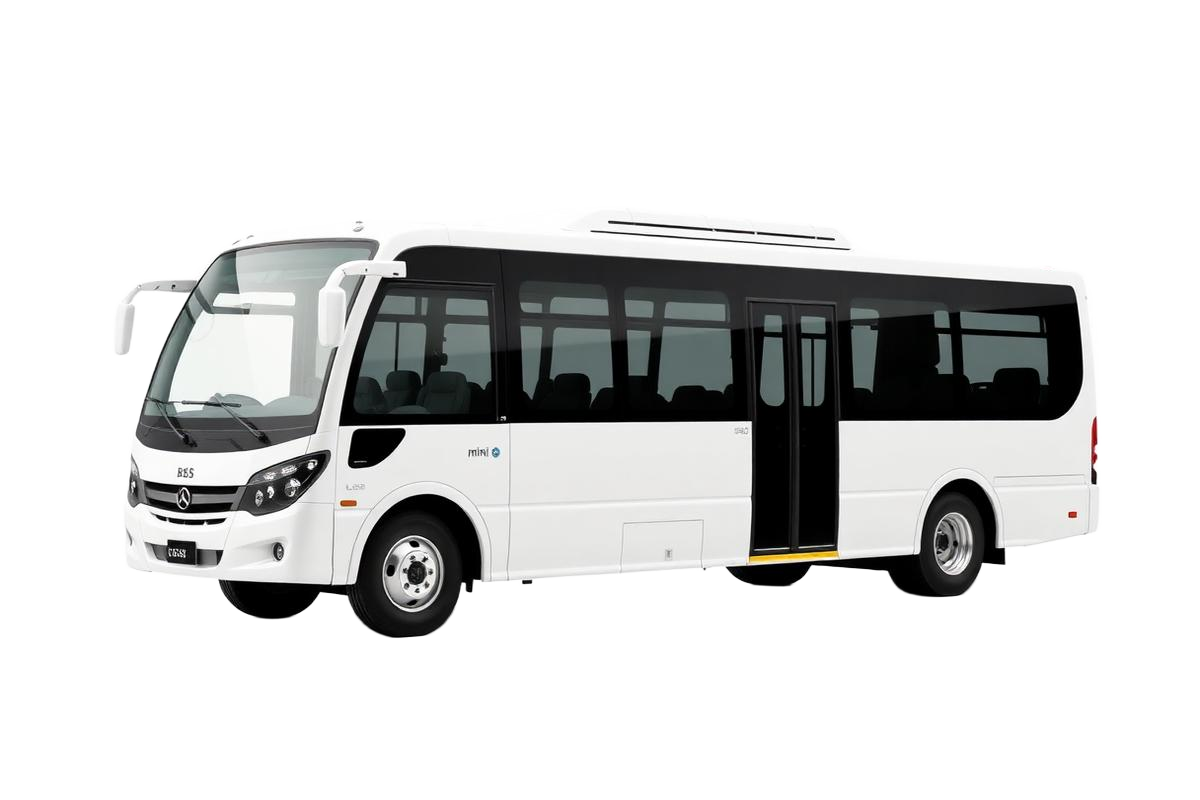 Bus Pariwisata